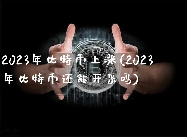 2023年比特币上涨显卡涨没