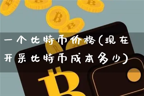 一比特币价格是多少钱?