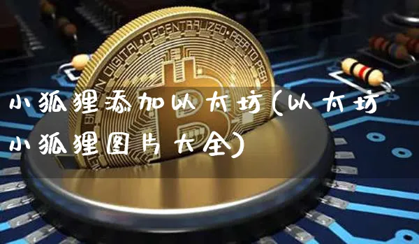 小狐狸钱包如何添加usdt